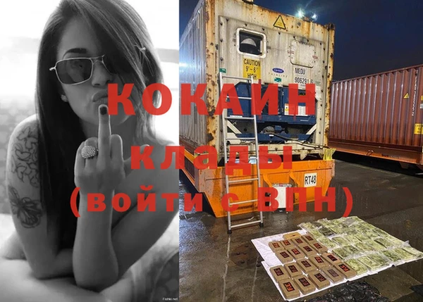 стафф Козловка