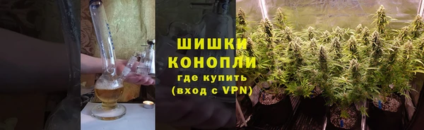 стафф Козловка