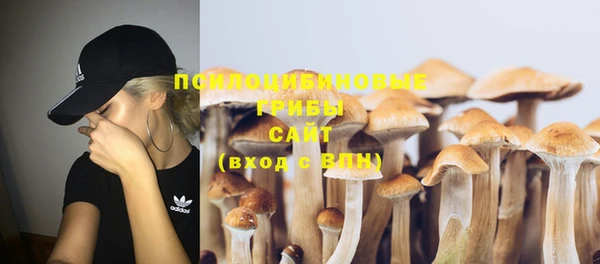 стафф Козловка