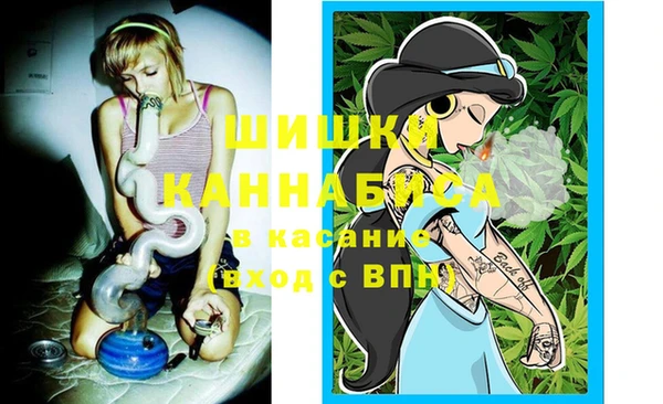 стафф Козловка