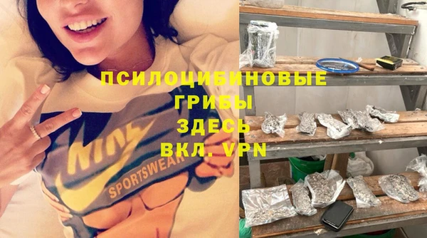 стаф Карпинск