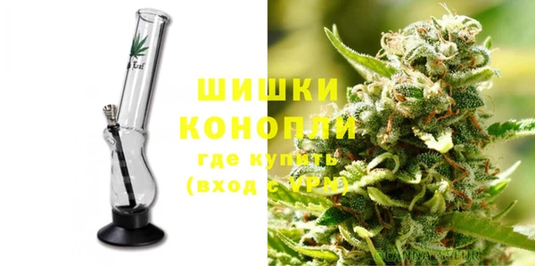 стафф Козловка