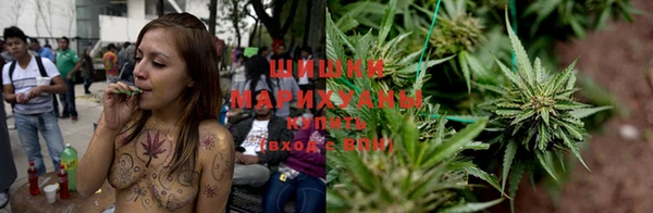 стафф Козловка