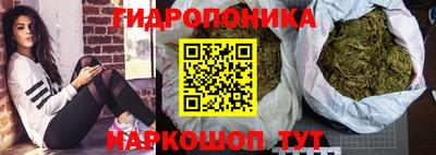 эйфоретик Абакан