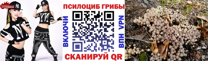 площадка клад  Оренбург  Галлюциногенные грибы Psilocybe  KRAKEN зеркало 