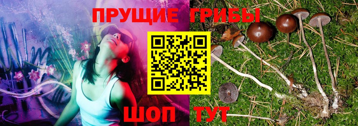 Галлюциногенные грибы ЛСД Оренбург