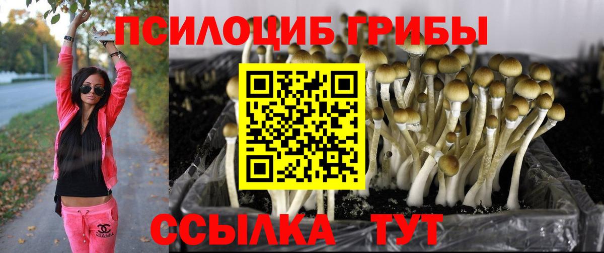 Галлюциногенные грибы ЛСД  Вход с VPN  Оренбург 