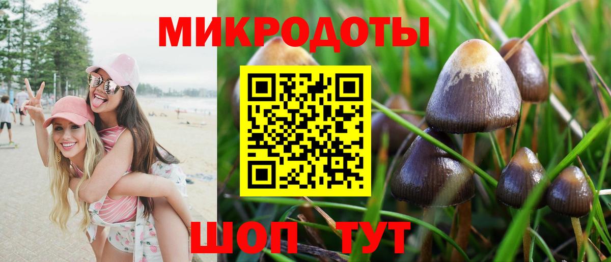Псилоцибиновые грибы Magic Shrooms Оренбург