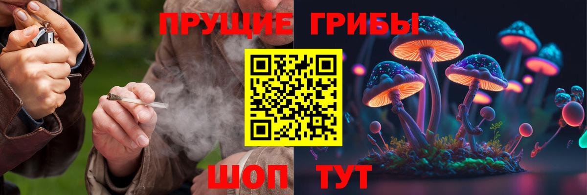 Оренбург  Галлюциногенные грибы Psilocybe  Галлюциногенные грибы GOLDEN TEACHER  продажа наркотиков  Вход с VPN 